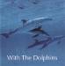 Global Journey - With The Dolphins