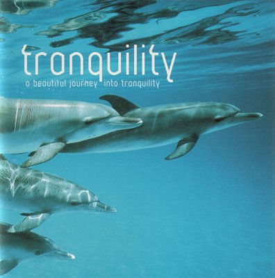 Madrugada-Tranquility.jpg